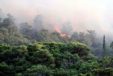 αντιμετώπιση φυσικών κινδύνων