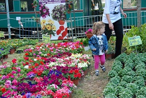 20130402_anthestiria (1)