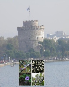 thessalonikiok