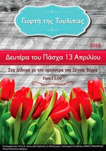 tulip