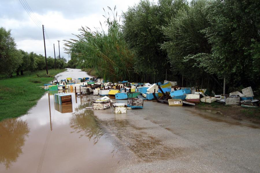 Μελίσσια που τα έχει παρασύρει η βροχή σε περιοχή της Ηλείας , Πέμπτη 22 Οκτωβρίου 2015. Σοβαρά προβλήματα δημιούργησε η σφοδρή βροχόπτωση που πέφτει από νωρίς σήμερα το πρωί. ΑΠΕ-ΜΠΕ/Patris News/STR