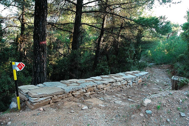 Κίσσαβος